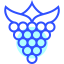 Raspberries icon 64x64