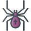 Spider icon 64x64