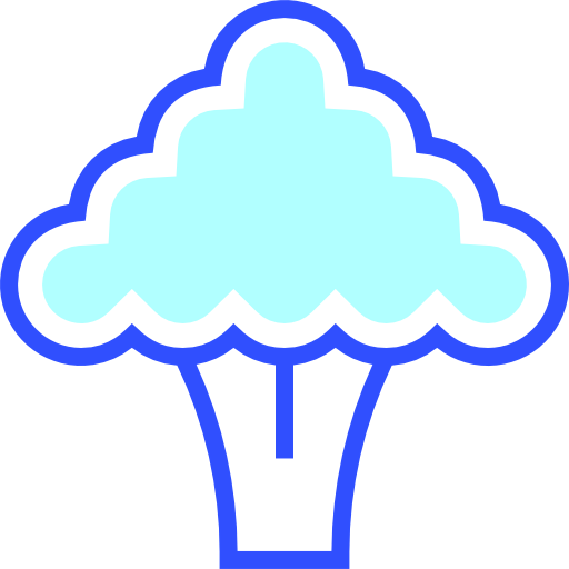 Broccoli icon