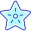 Starfish 상 64x64