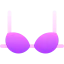 Bra icon 64x64