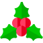 Mistletoe icon 64x64