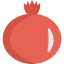 Pomegranate іконка 64x64