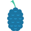 Raspberry icon 64x64