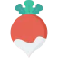 Turnip icon 64x64