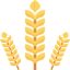 Grain icon 64x64