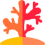 Coral іконка 64x64