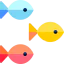 Fish 图标 64x64