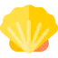 Shell іконка 64x64