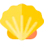 Shell 图标 64x64
