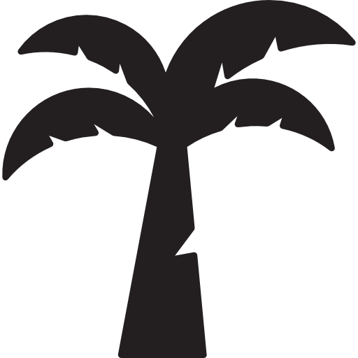 Coconut Tree Ikona