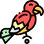 Parrot icon 64x64