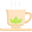 Herbal tea icône 64x64