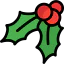 Mistletoe icon 64x64