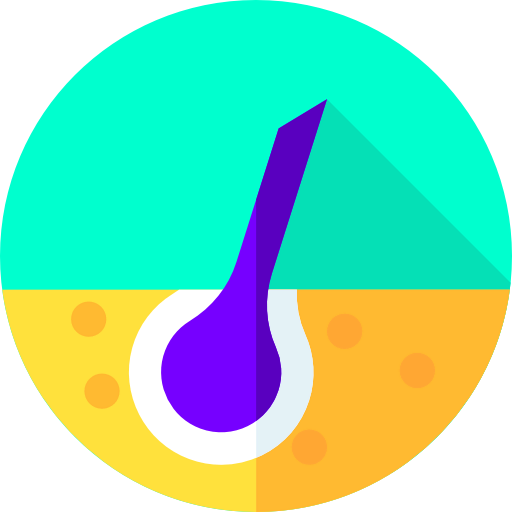 Epidermis icon