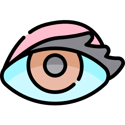 Eye icon