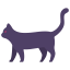 Black cat biểu tượng 64x64
