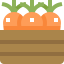 Carrot 상 64x64