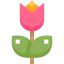 Tulip icône 64x64