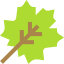 Leaf ícone 64x64