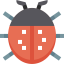 Ladybug Ikona 64x64