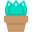 Aloe vera ícono 64x64
