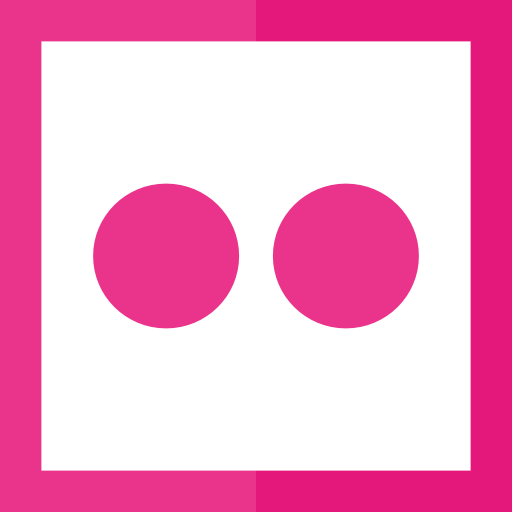 Flickr icon