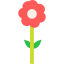 Flower icon 64x64