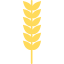Wheat icon 64x64
