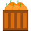 Oranges icon 64x64