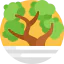 Bonsai icon 64x64