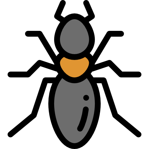 Insect icon