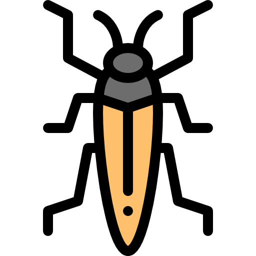 Insect icon