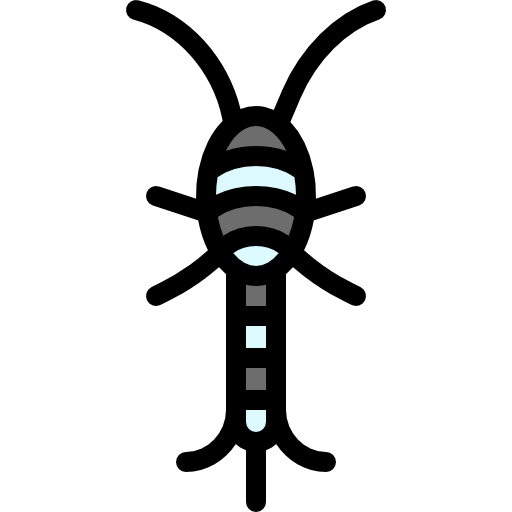 Silverfish 图标