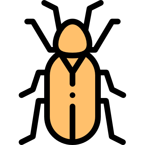 Beetle icon