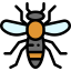 Insect icône 64x64