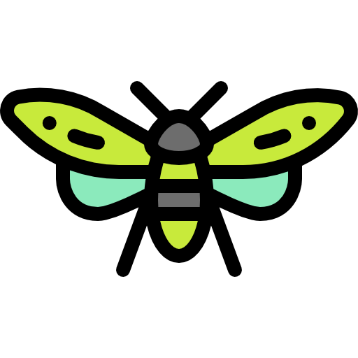 Insect icon
