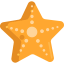 Starfish іконка 64x64