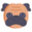 Pug 图标 64x64