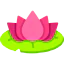 Lotus icône 64x64
