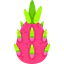 Dragon fruit アイコン 64x64