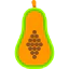 Papaya biểu tượng 64x64