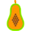 Papaya icon 64x64