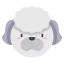 French poodle 图标 64x64