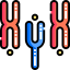 Chromosome Symbol 64x64