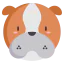 Bulldog 图标 64x64