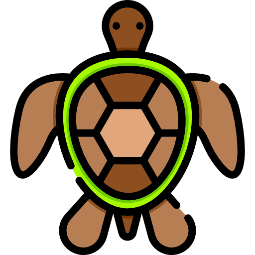 Turtle icon