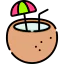 Coconut icon 64x64