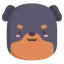 Rottweiler 图标 64x64