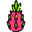 Dragon fruit アイコン 64x64